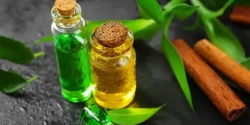 خواص روغن چریش خیراندیش در طب سنتی برای مردان و زنان