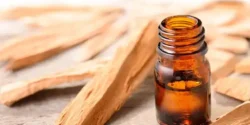 خواص روغن چوب صندل خیراندیش در طب سنتی برای مردان و زنان