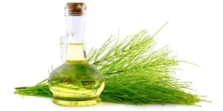 خواص روغن دم اسب خیراندیش در طب سنتی برای مردان و زنان