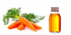 خواص روغن هویج خیراندیش در طب سنتی برای مردان و زنان