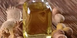 خواص روغن جوز هندی خیراندیش در طب سنتی برای مردان و زنان