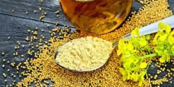 خواص روغن خردل خیراندیش در طب سنتی برای مردان و زنان