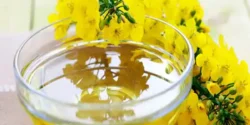 خواص روغن کلزا خیراندیش در طب سنتی برای مردان و زنان