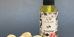 خواص روغن مازو خیراندیش در طب سنتی برای مردان و زنان
