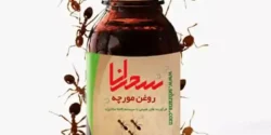خواص روغن مورچه خیراندیش در طب سنتی برای مردان و زنان