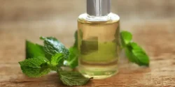 خواص روغن نعناع خیراندیش در طب سنتی برای مردان و زنان