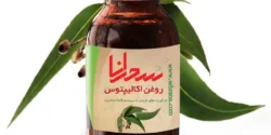 خواص روغن اکالیپتوس خیراندیش در طب سنتی برای مردان و زنان