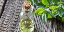 خواص روغن پونه خیراندیش در طب سنتی برای مردان و زنان