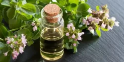 خواص روغن پونه کوهی خیراندیش در طب سنتی برای مردان و زنان