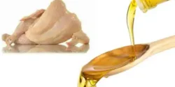 خواص روغن پوست مرغ خیراندیش در طب سنتی برای مردان و زنان