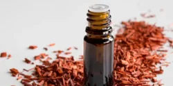خواص روغن صندل خیراندیش در طب سنتی برای مردان و زنان