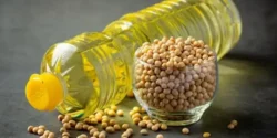 خواص روغن سویا خیراندیش در طب سنتی برای مردان و زنان