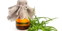 خواص روغن ترخون خیراندیش در طب سنتی برای مردان و زنان