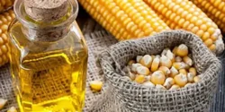 خواص روغن ذرت خیراندیش در طب سنتی برای مردان و زنان
