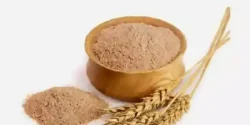 خواص سبوس برنج قهوه ای خیراندیش در طب سنتی برای مردان و زنان