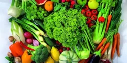 خواص سبزیجات خیراندیش در طب سنتی برای مردان و زنان
