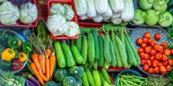 خواص صیفی جات خیراندیش در طب سنتی برای مردان و زنان