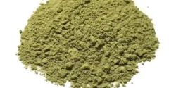 خواص سدر خیراندیش در طب سنتی برای مردان و زنان