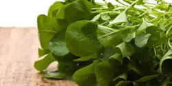 خواص شاهی خیراندیش در طب سنتی برای مردان و زنان