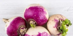 خواص شلغم فرنگی خیراندیش در طب سنتی برای مردان و زنان