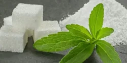 خواص شکر رژیمی خیراندیش در طب سنتی برای مردان و زنان