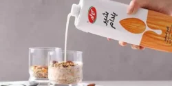 خواص شیر بادام خیراندیش در طب سنتی برای مردان و زنان