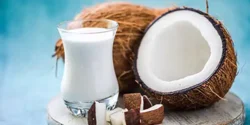 خواص شیر نارگیل خیراندیش در طب سنتی برای مردان و زنان