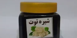 خواص شیره توت خیراندیش در طب سنتی برای مردان و زنان