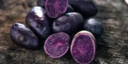 خواص سیب زمینی بنفش خیراندیش در طب سنتی برای مردان و زنان
