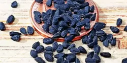خواص سیاه دانه برای مردان و زنان در طب سنتی مدرن