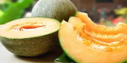 خواص طالبی شاه پسند خیراندیش در طب سنتی برای مردان و زنان