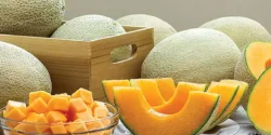 خواص طالبی یوباری خیراندیش در طب سنتی برای مردان و زنان