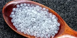 خواص تخم شربتی برای مردان و زنان در طب سنتی مدرن