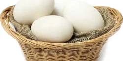 خواص تخم غاز خیراندیش در طب سنتی برای مردان و زنان