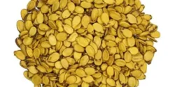 خواص تخمه هندوانه خیراندیش در طب سنتی برای مردان و زنان