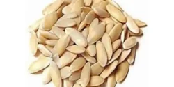 خواص تخمه خربزه خیراندیش در طب سنتی برای مردان و زنان