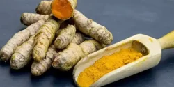 خواص زردچوبه برای مردان و زنان در طب سنتی مدرن