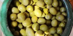 خواص زیتون شور خیراندیش در طب سنتی برای مردان و زنان