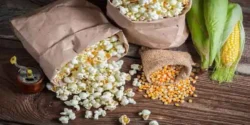 خواص ذرت بو داده خیراندیش در طب سنتی برای مردان و زنان