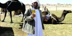 خواص ادرار شتر برای مردان و زنان در طب سنتی مدرن