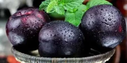 خواص آلو سیاه برای مردان و زنان در طب سنتی مدرن