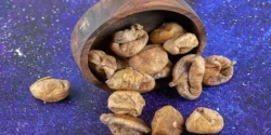 خواص انجیر خشک برای مردان و زنان در طب سنتی مدرن