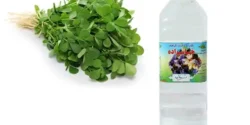 خواص عرق شنبلیله برای مردان و زنان در طب سنتی مدرن