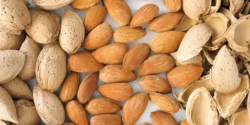خواص بادام درختی برای مردان و زنان در طب سنتی مدرن