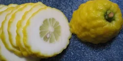 خواص بالنگ برای مردان و زنان در طب سنتی مدرن