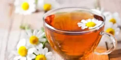 خواص چای بابونه برای مردان و زنان در طب سنتی مدرن
