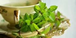 خواص چای نعناع برای مردان و زنان در طب سنتی مدرن