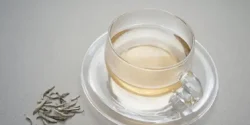 خواص چای سفید برای مردان و زنان در طب سنتی مدرن