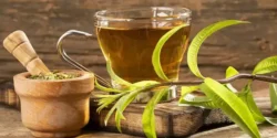 خواص دمنوش به لیمو برای مردان و زنان در طب سنتی مدرن