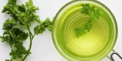 خواص دمنوش جعفری برای مردان و زنان در طب سنتی مدرن